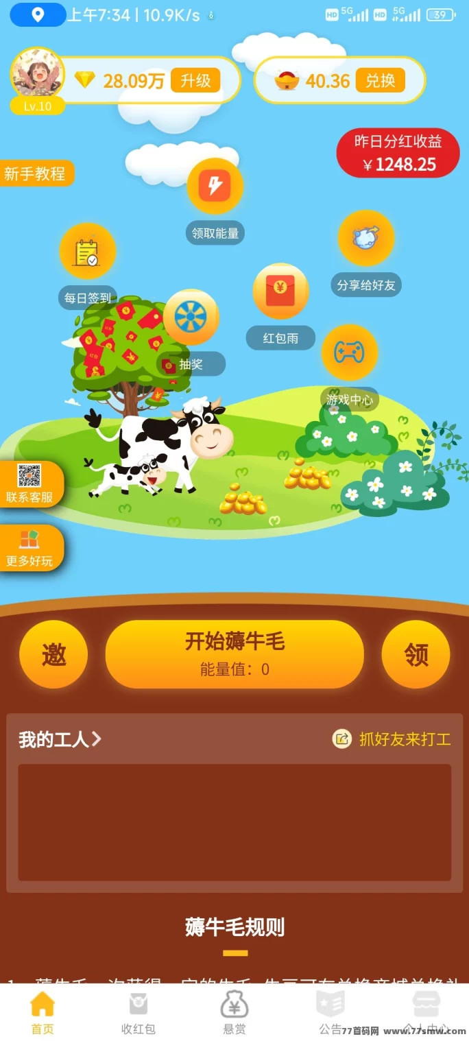 网络项目