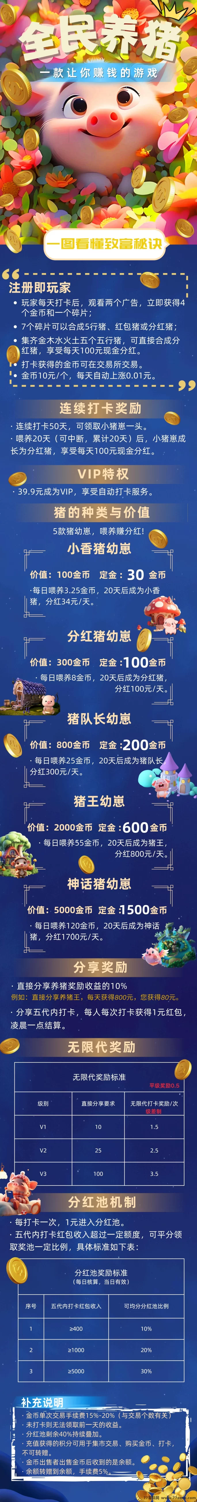 网络项目