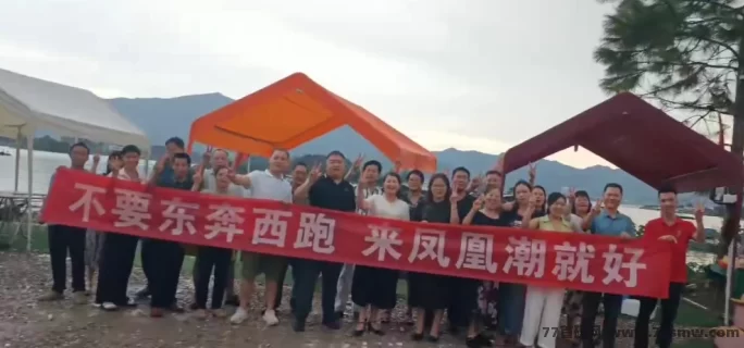 凤凰潮快赚全解析:零成本参与,多模式选择,人人都能轻松开启财富之路!