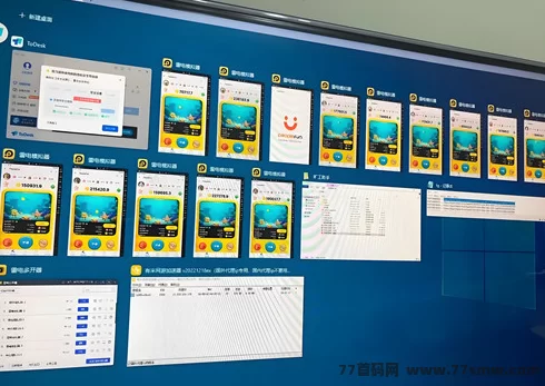 小豹点点首码广告赚米项目:轻松单机赚取高收溢!