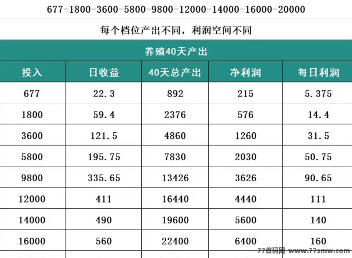 米哈时代首码来袭：全新模式启动，团队扶持力度空前！
