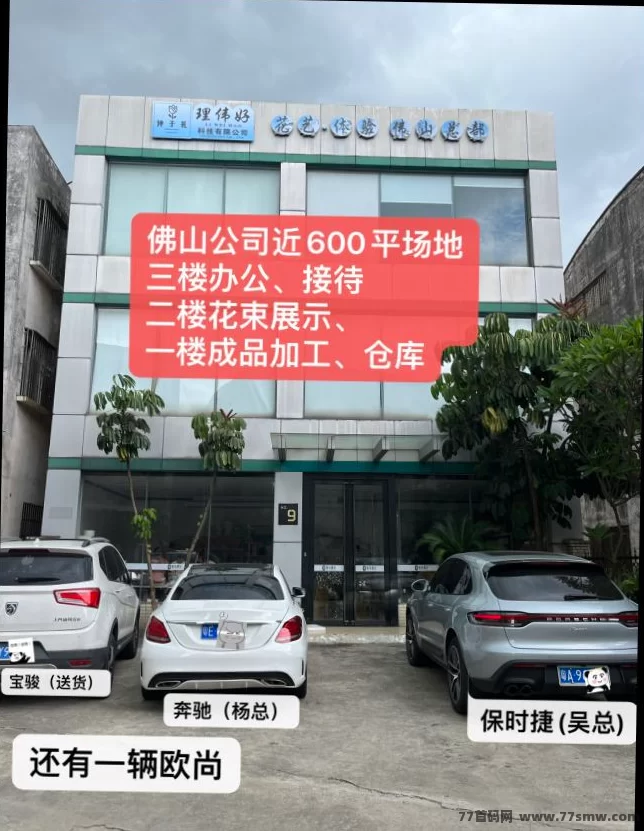 手工永生花制作指南：零基础轻松入门，月入260+