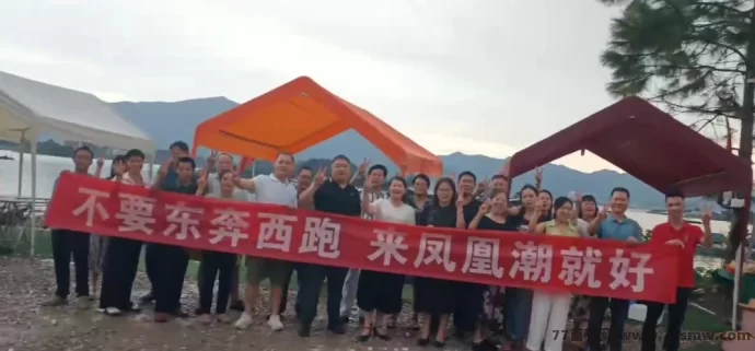 凤凰潮零撸项目深度解析：轻松参与，多种玩法助你月入数十万