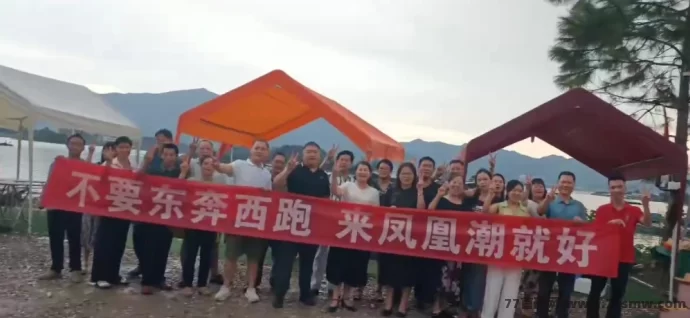 凤凰潮快赚：长期稳定平台，轻松月入数十万的赚米新方式