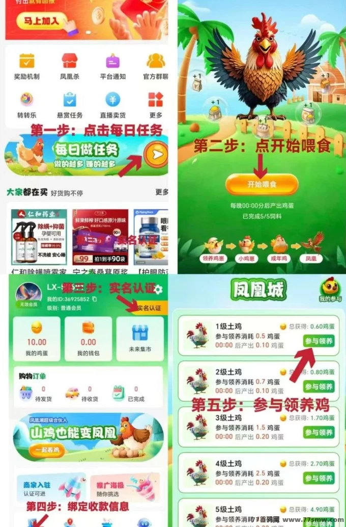 凤凰之城首码上线：扶持拉满，对接各大团队长轻松赚米！