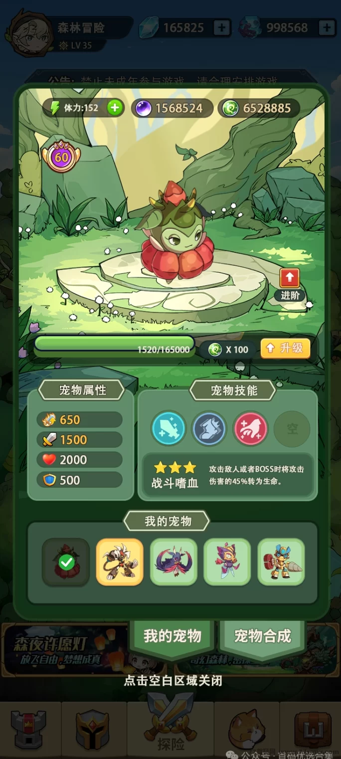 森林冒险首码上线：战场养成玩法，多元系统轻松赚魂晶