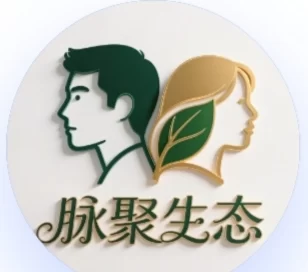 脉聚生态首码上线，零成本K机模式体验与团队收溢攻略！