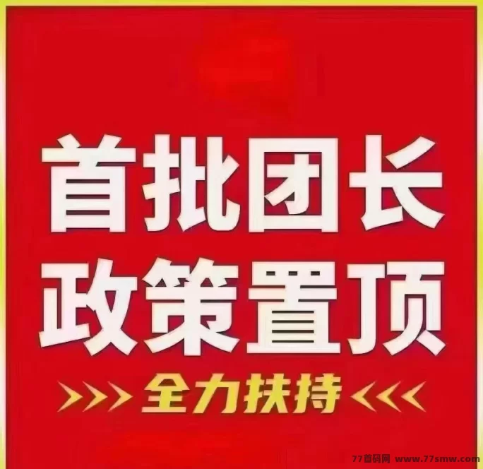 大店小二首码内测：零投入，每天轻松拿收溢！